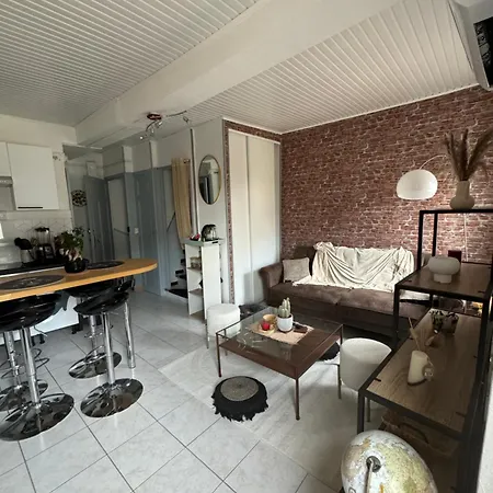 Duplex Moderne Centre Du Boulou Apartment